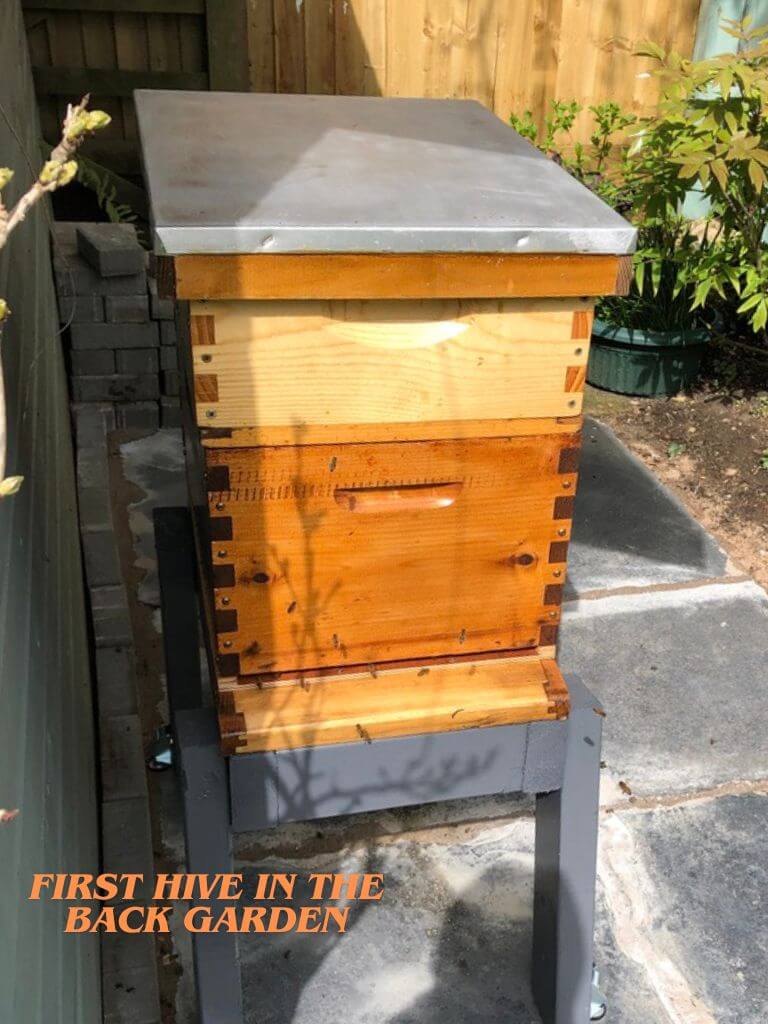 my_first_hive_in_the_back_garden
