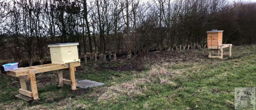 my_beehives_in_a_field