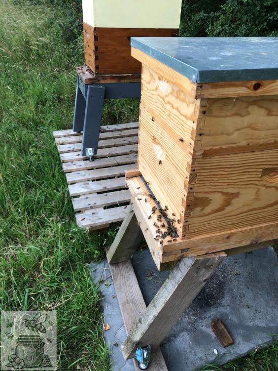 two_beehives_during_my_second_beekeeping_year
