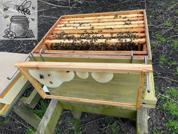 frame holder on beehive