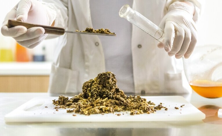 raw propolis