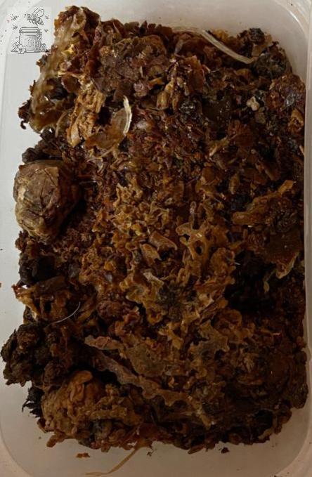 propolis extracts