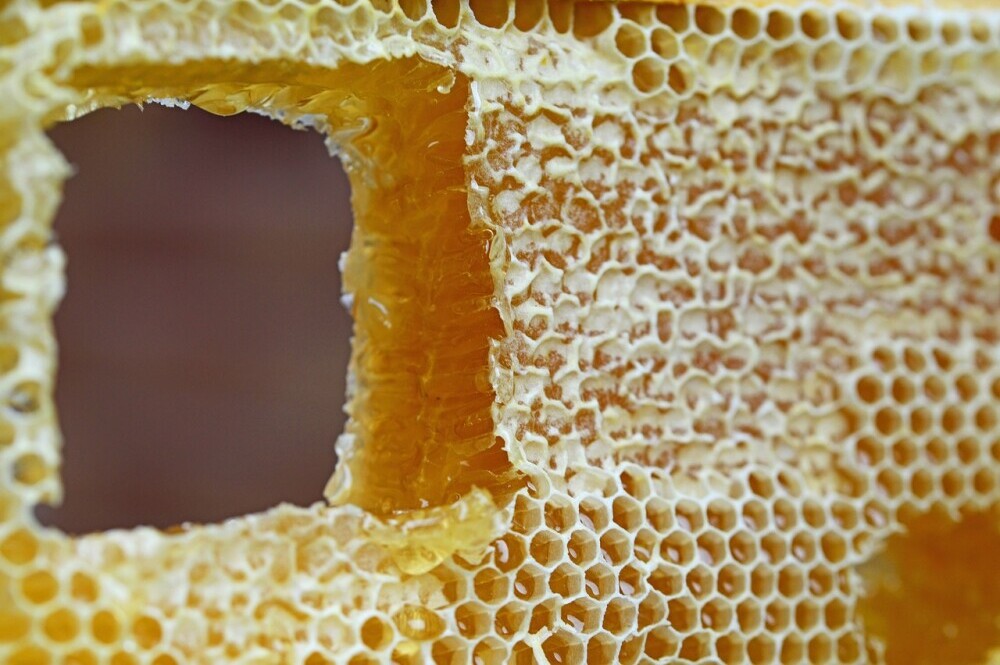 capped honeycomb