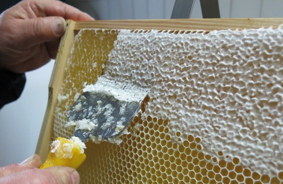 uncapping honey comb