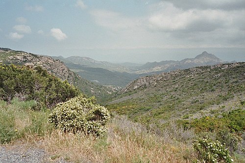 Mediterranean honey