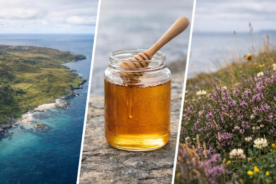 colonsay_honey_and_island_landscapes