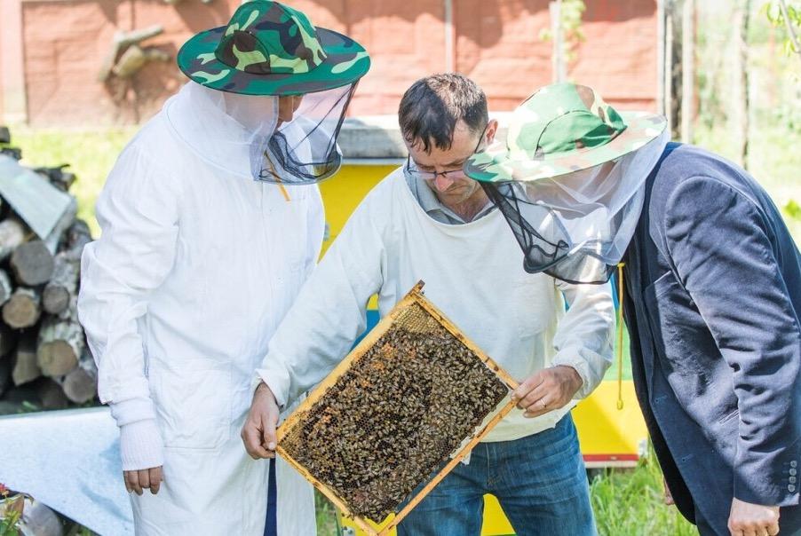 beehive_inspection_during_a_taster_session