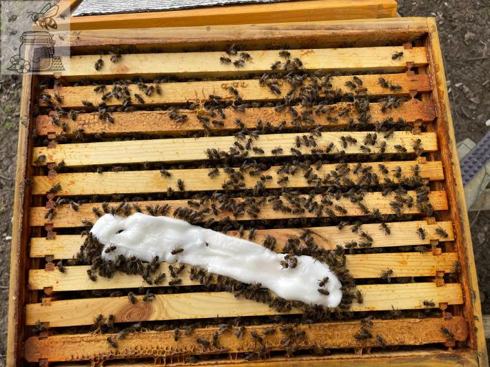 fondant_for_feeding_bees