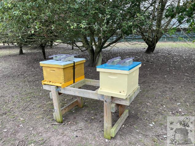 two_hives_on_a_stand_in_perfect_location