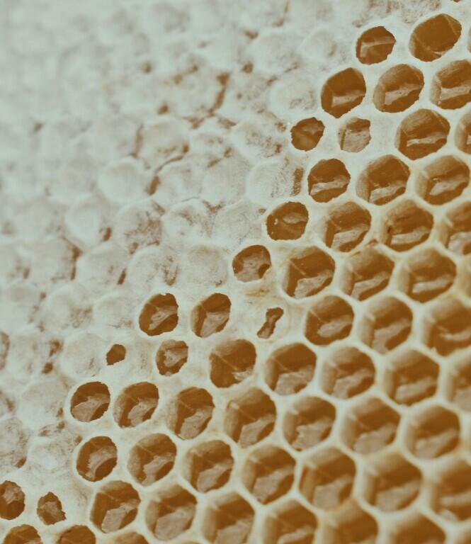 beeswax_as_honeycomb