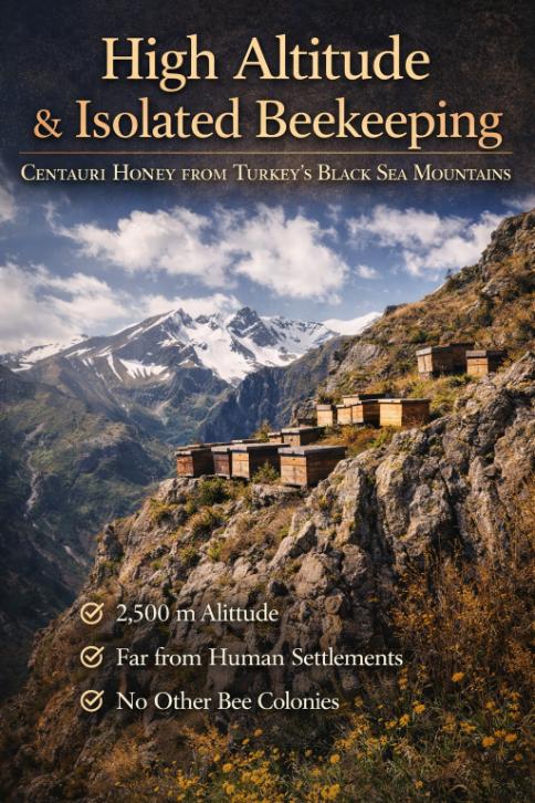 centauri_honey_isolated_beekeeping
